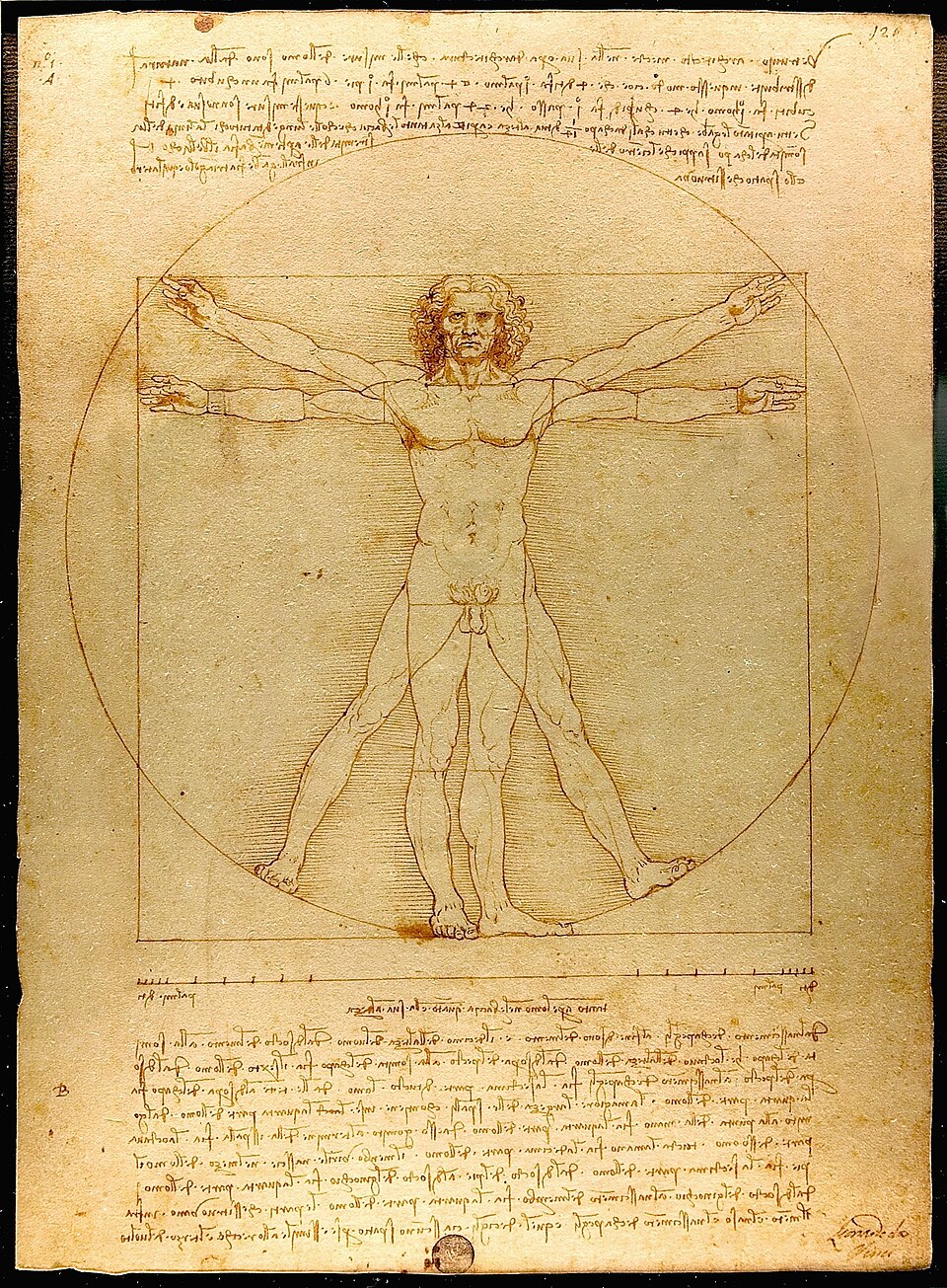 Original Vitruvian Man